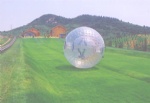 grass zorb ball