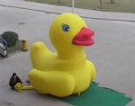 inflatable duck cartoon