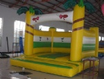 inflatable bouncer